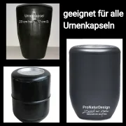 Holzurne mit Motiv- Tanne m08