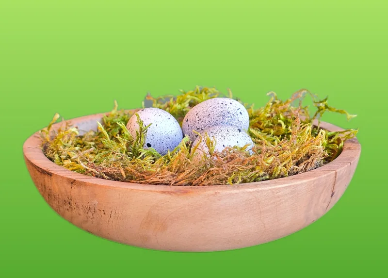 Vogelnest-Massiv d11