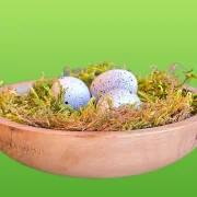 Vogelnest-Massiv d11