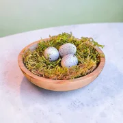 Vogelnest-Massiv d11