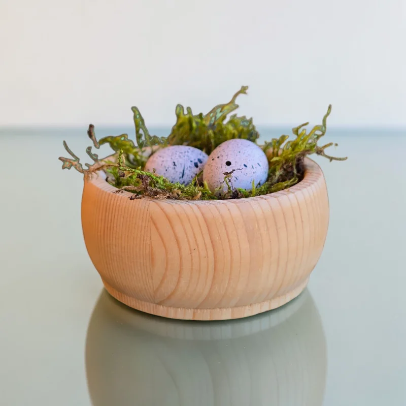 Vogelnest-Massiv d12