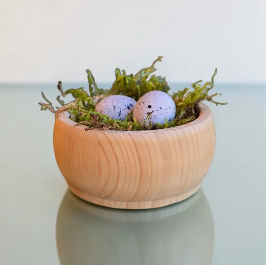 Vogelnest-Massiv d12