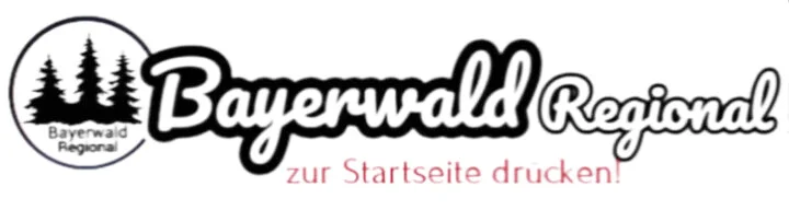 Logo*
